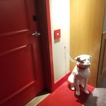 Virgin Hotels Chicago - Two dog friendly rooms in each floor - Hotels Near Me - Chicago, Illinois Virgin Hotels Chicago - Two dog friendly rooms in each floor - Hotels Near Me - Chicago, Illinois