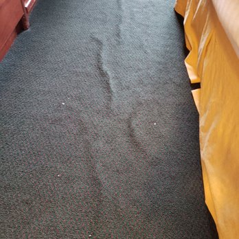 Clover Island Inn - Rippling carpet - Hotels Near Me - Kennewick, Washington Clover Island Inn - Rippling carpet - Hotels Near Me - Kennewick, Washington