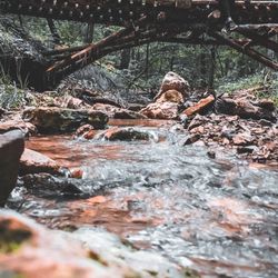 Branson Trails - Fellas.... bring your photography friends along - they will thank you later!