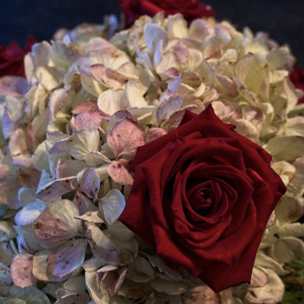 Esther Flowers Wauwatosa Wi Best Flower Site