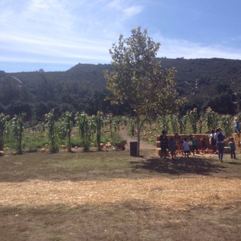 Bates Nut Farm - Specialty Food Near Me - Valley Center, California Bates Nut Farm - Specialty Food Near Me - Valley Center, California