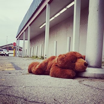 Amvets Thrift Store - Bear Instagram styles - Thrift Stores Near Me - Buffalo, New York