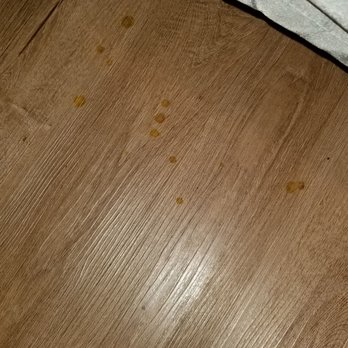 Woodspring Suites - Stains on the floor near the bed - Hotels Near Me - Tinley Park, Illinois Woodspring Suites - Stains on the floor near the bed - Hotels Near Me - Tinley Park, Illinois