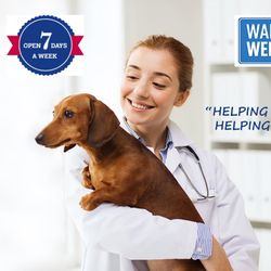Carmel Road Animal Hospital - Carmel Road Animal Hospital, Charlotte Veterinarian, NC