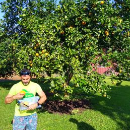 a man standing in front of an orange tree