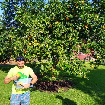 Kauai Kunana Dairy - a man standing in front of an orange tree - Farmers Market Near Me - Kilauea, Hawaii
