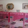 Photo of A Purrfect Place Cattery