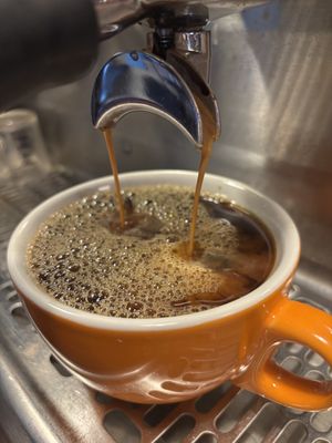 Smelly Cat Coffee House & Roastery by null