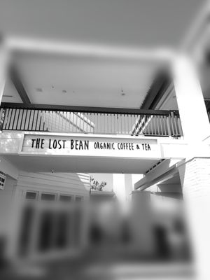 The Lost Bean by null
