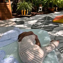 Sun Grove Montessori School - Infant garden