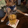 Industry Tap Union gift card