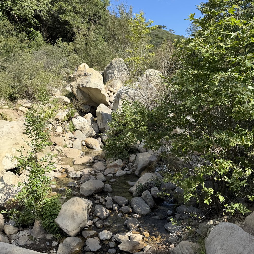 Cold Spring Trail - Hiking Near Me - Santa Barbara, California Cold Spring Trail - Hiking Near Me - Santa Barbara, California