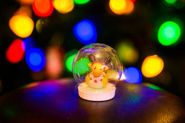 Deck the Halls by null