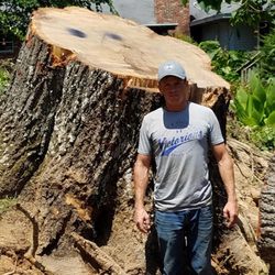 Jedidiah Sawyer Tree Service