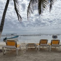 Jamie's At The Blue Reef - View from lounger of ocean