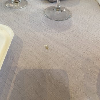 Quivira Steakhouse - Bird poop on their table - Steakhouses Near Me - Cabo San Lucas, BCS Quivira Steakhouse - Bird poop on their table - Steakhouses Near Me - Cabo San Lucas, BCS