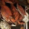Margie's Crabs gift card