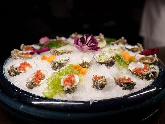 Matsuhisa Denver by null