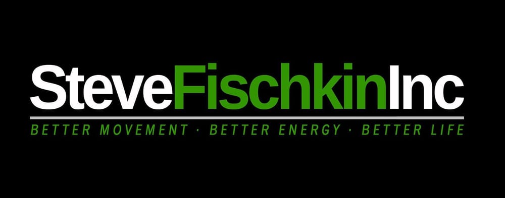 STEVE FISCHKIN INC Logo