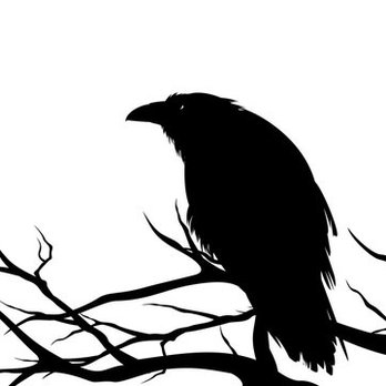 Old Crow Forestry - Tree Services Near Me Old Crow Forestry - Tree Services Near Me