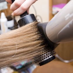 Sharkey’s Cuts for Kids - Austin - Sharkey's Cuts for Kids - Austin
