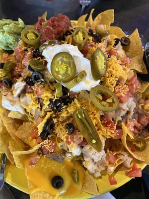 Paradise Falls by null