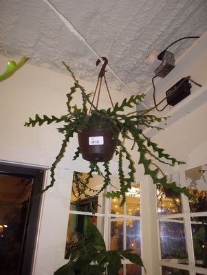 The Plant Outpost by null