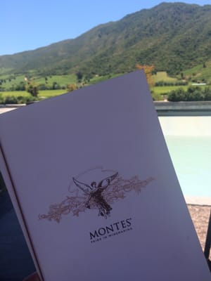 Viña Montes by null