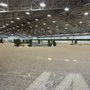 World Equestrian Center