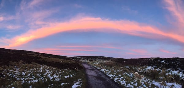 Cave Hill Country Park by null