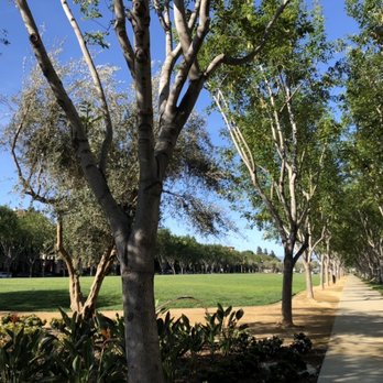Moitozo Park - Looking west toward North First Street - Parks Near Me - San Jose, California