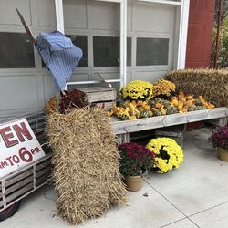 The Pepin Heights Store