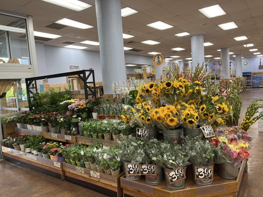 Trader Joe's by null