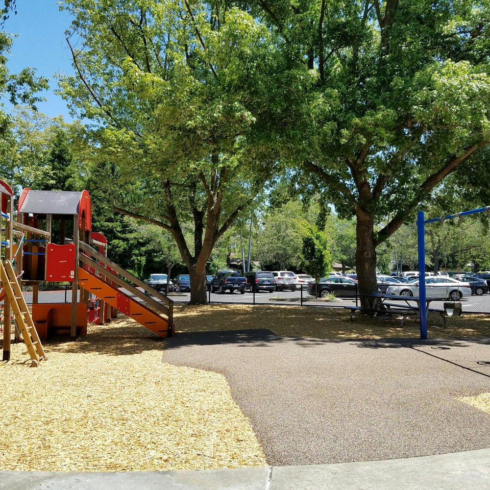 Shade from trees by picnic table. Shade from trees by picnic table.