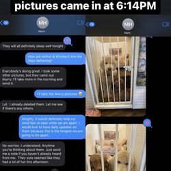 Deleted photos could have been recovered from the deleted album