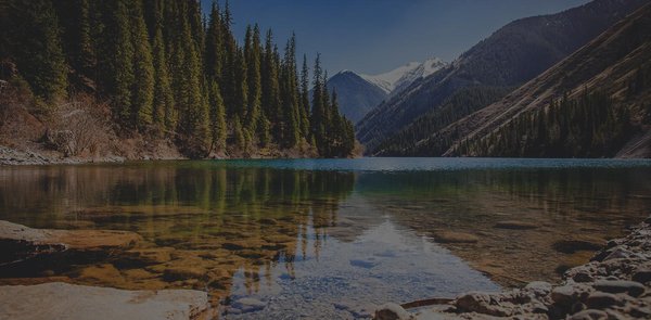 Allergy Associates of Utah