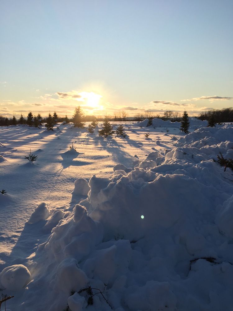 MCDONOUGH’S FARM Updated September 2024 28 Gilligan Rd, East