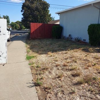 Cruz Landscaping Services - BEFORE photo - Fences & Gates Near Me