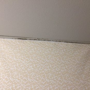 Quality Inn Seekonk-Providence - Bathroom - Hotels Near Me - Seekonk, Massachusetts Quality Inn Seekonk-Providence - Bathroom - Hotels Near Me - Seekonk, Massachusetts