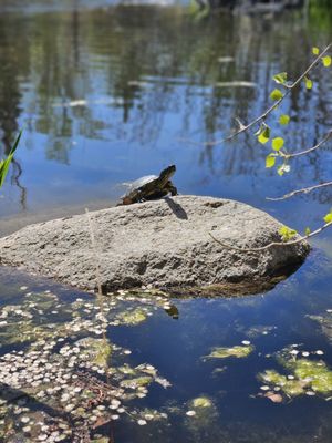 ABQ BioPark Aquarium by null