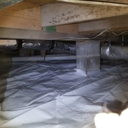 Campos Complete Pest Services