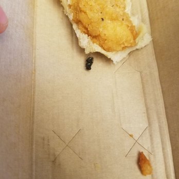 Arby's - There was a fly in the chicken slider. - Fast Food Near Me - Virginia Beach, Virginia