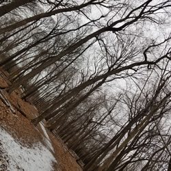 North Branch Trail