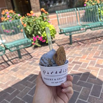 Paradise Bakery - Cookie Monster Muncha - Bakeries Near Me - Aspen, Colorado