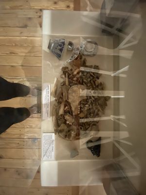 Columbia Gorge Discovery Center & Museum by null