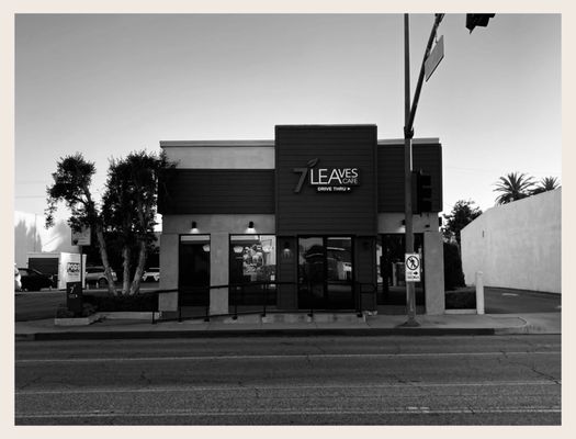 7 Leaves Cafe Alhambra by null