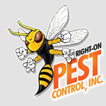 Right On Pest Control - Pest Control Near Me - New York, New York Right On Pest Control - Pest Control Near Me - New York, New York