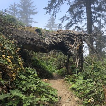Sue-Meg State Park - Mussel Rocks Trail - Parks Near Me - Trinidad, California