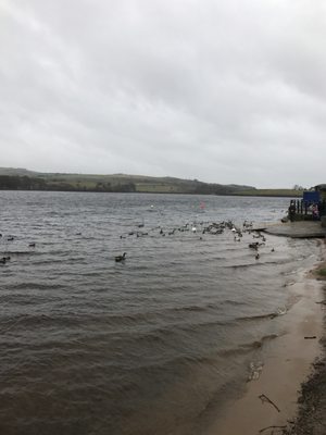 Hollingworth Lake by null