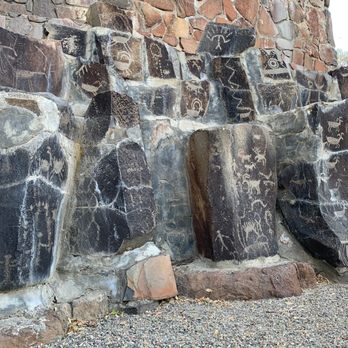 Ginkgo Petrified Forest State Park - I like the upside down triangle one towards the bottom right. - Parks Near Me - Vantage, Washington
